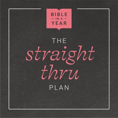 The Straight Thru Plan: Bible in a Year